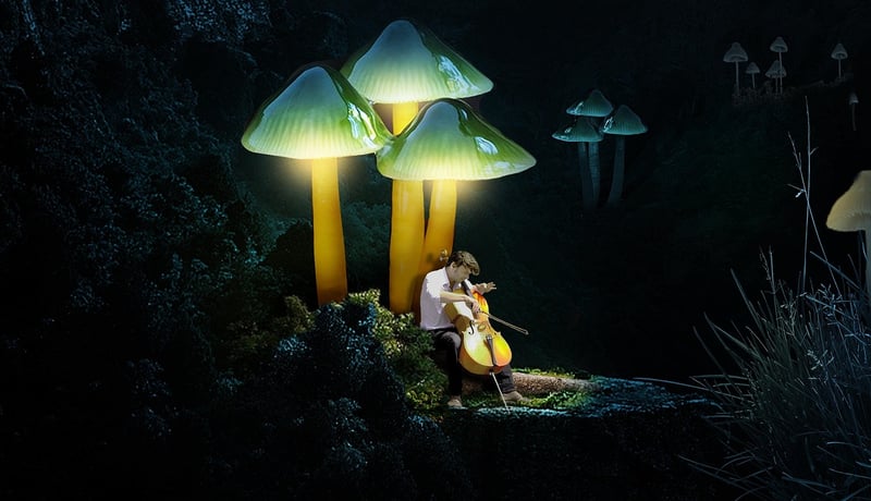 Enchanted instruments