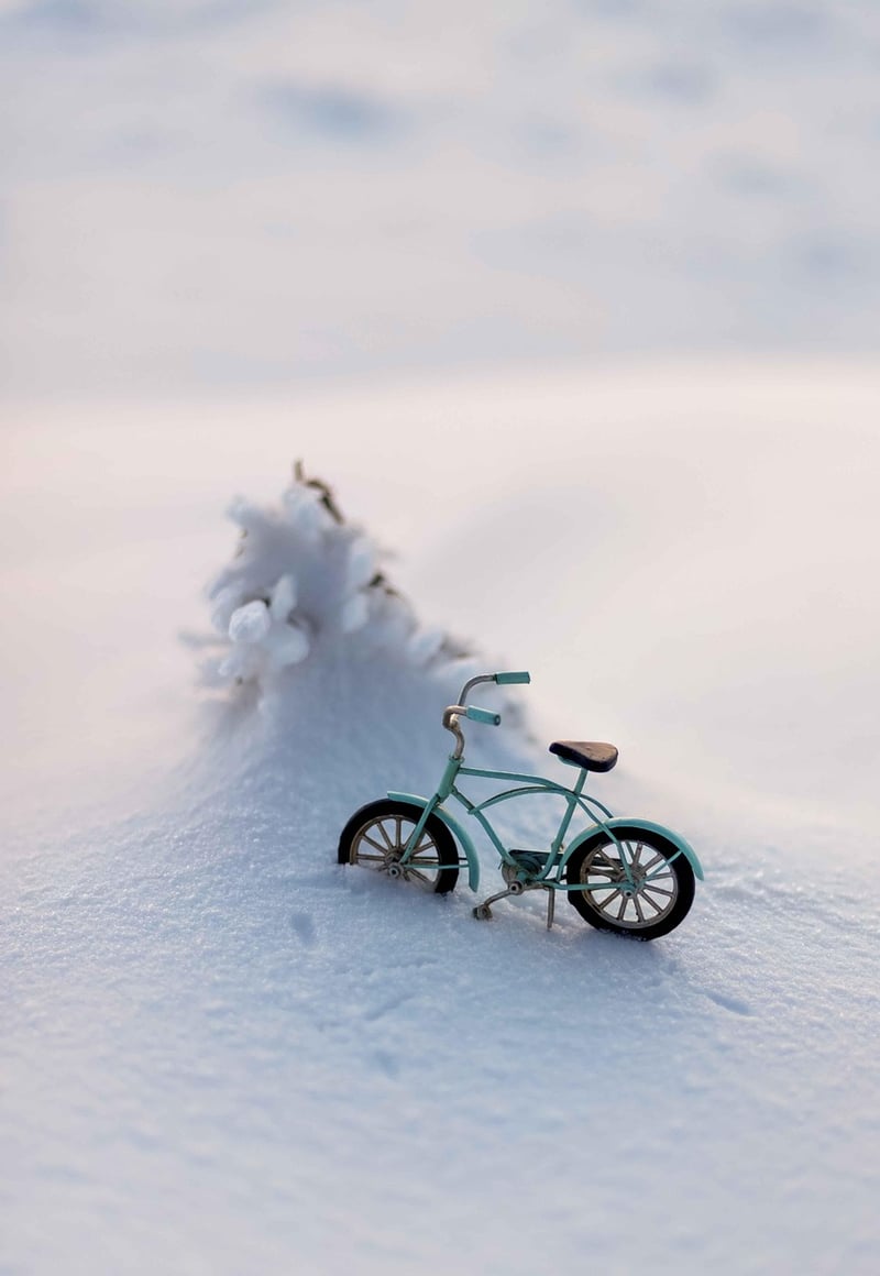 Miniature landscapes